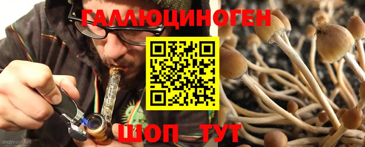 Галлюциногенные грибы GOLDEN TEACHER  Псилоцибиновые грибы мицелий  купить наркотики сайты  Первоуральск  Вход с VPN 
