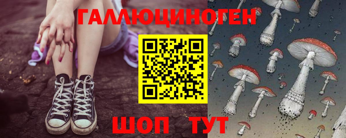 Галлюциногенные грибы Psilocybe Первоуральск
